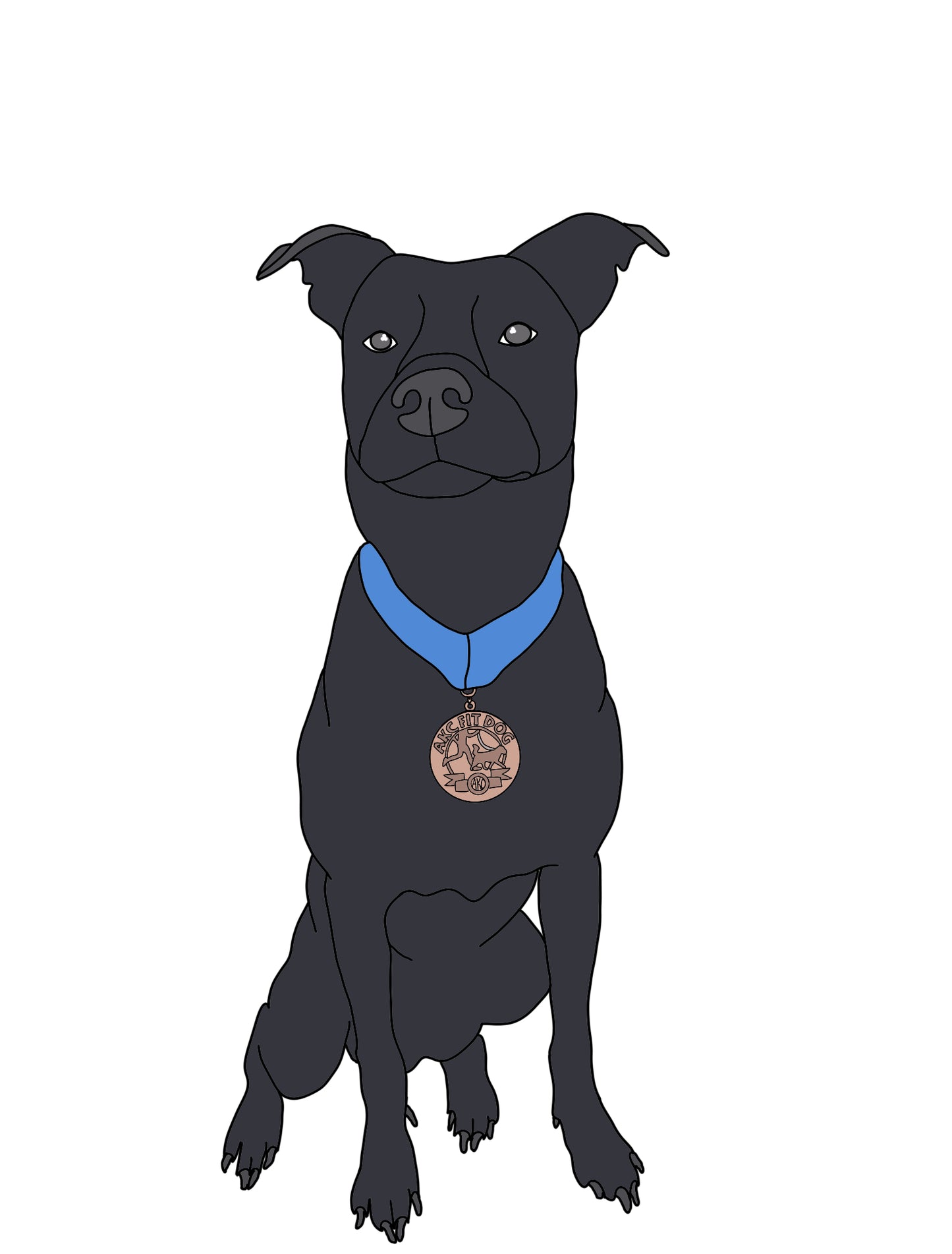 Colour Pet Drawing