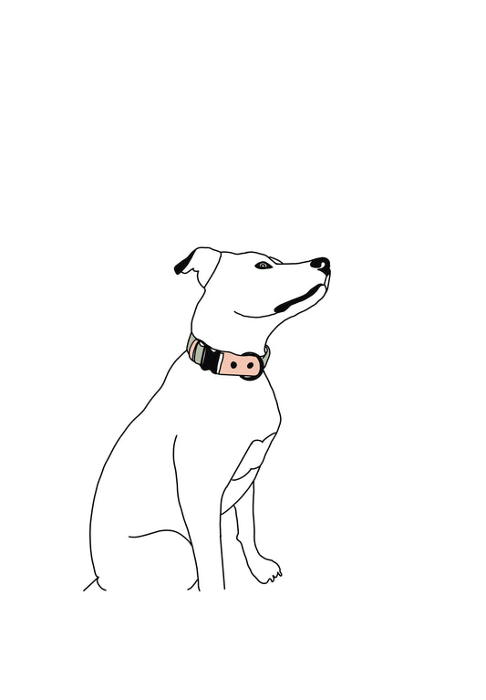 “Ugly” Pet Drawing