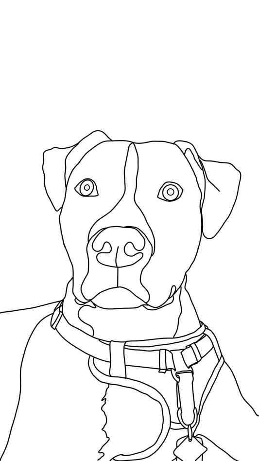 Minimalist Pet Drawing
