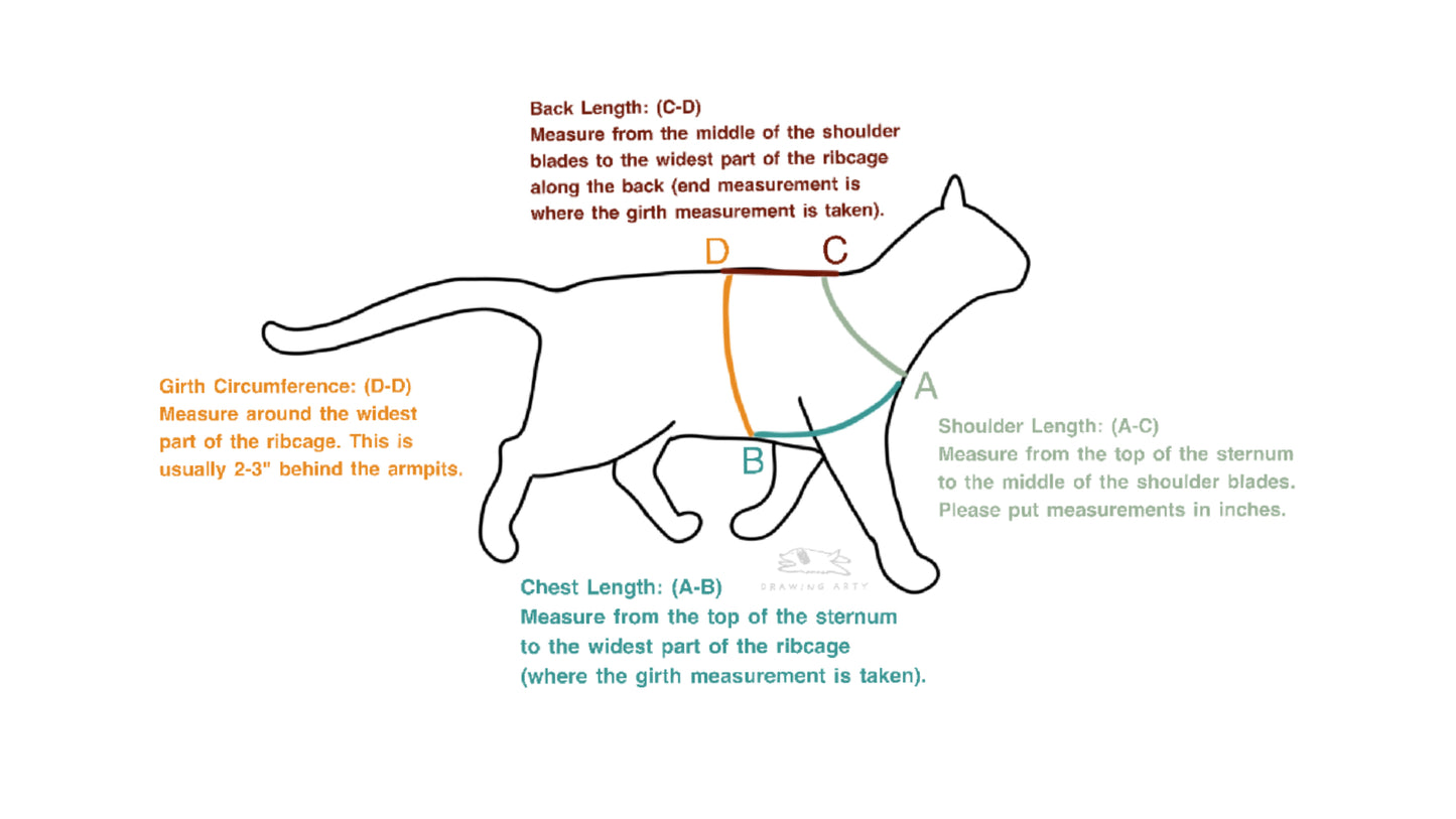 Minimalist Pet Drawing