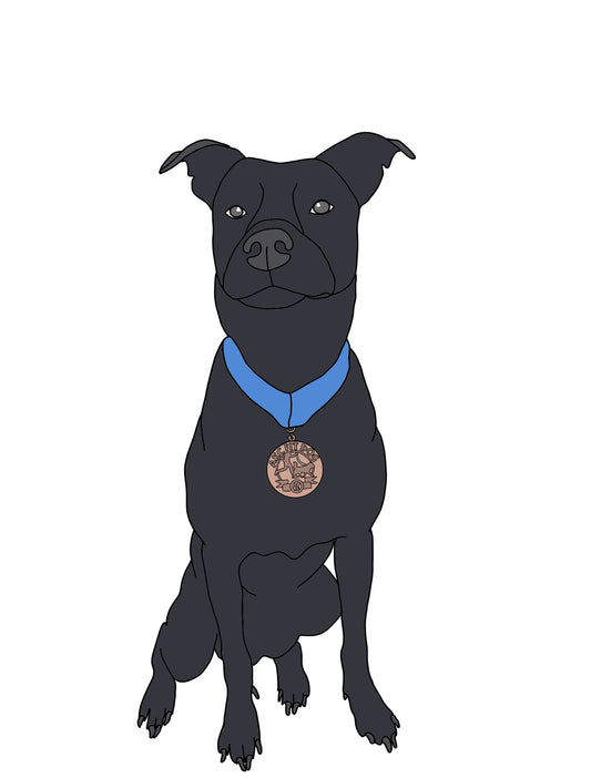 Colour Pet Drawing