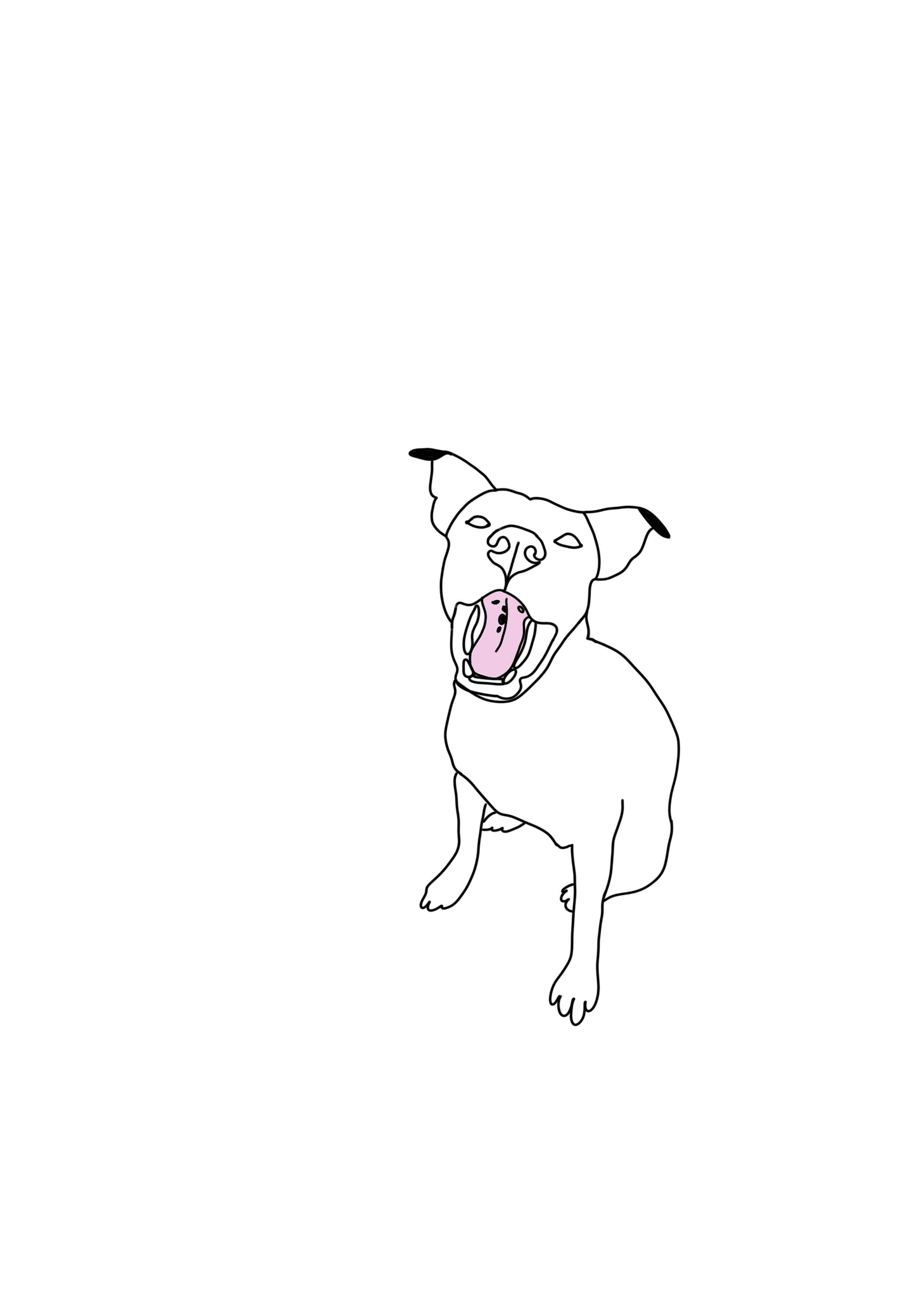 Minimalist Pet Drawing