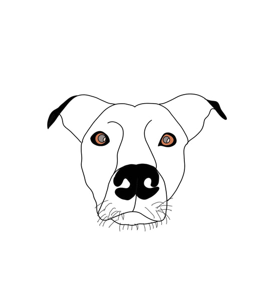 “Ugly” Pet Drawing