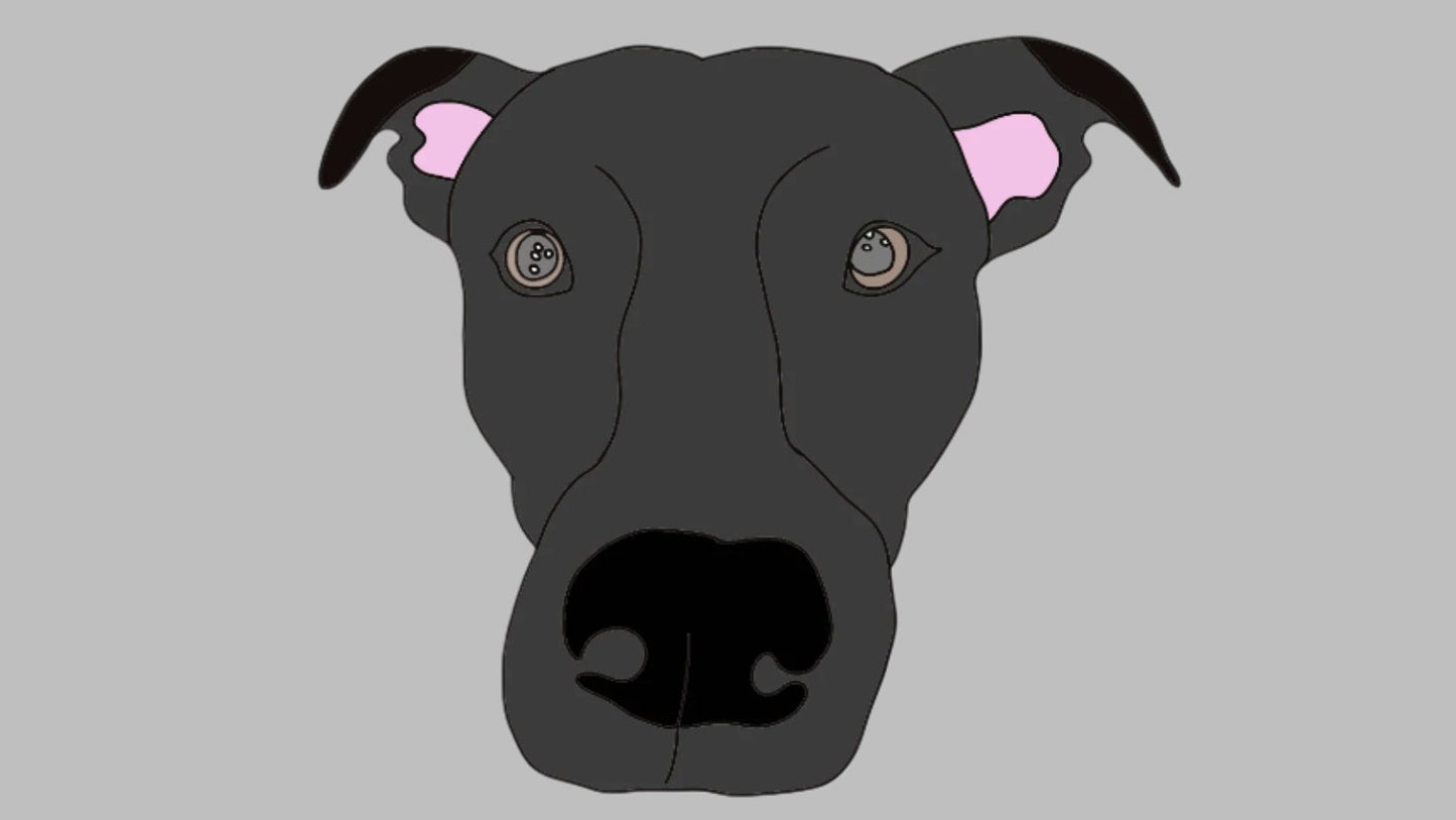 Colour Pet Drawing