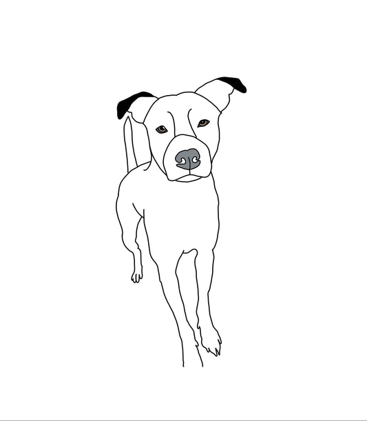 Minimalist Pet Drawing
