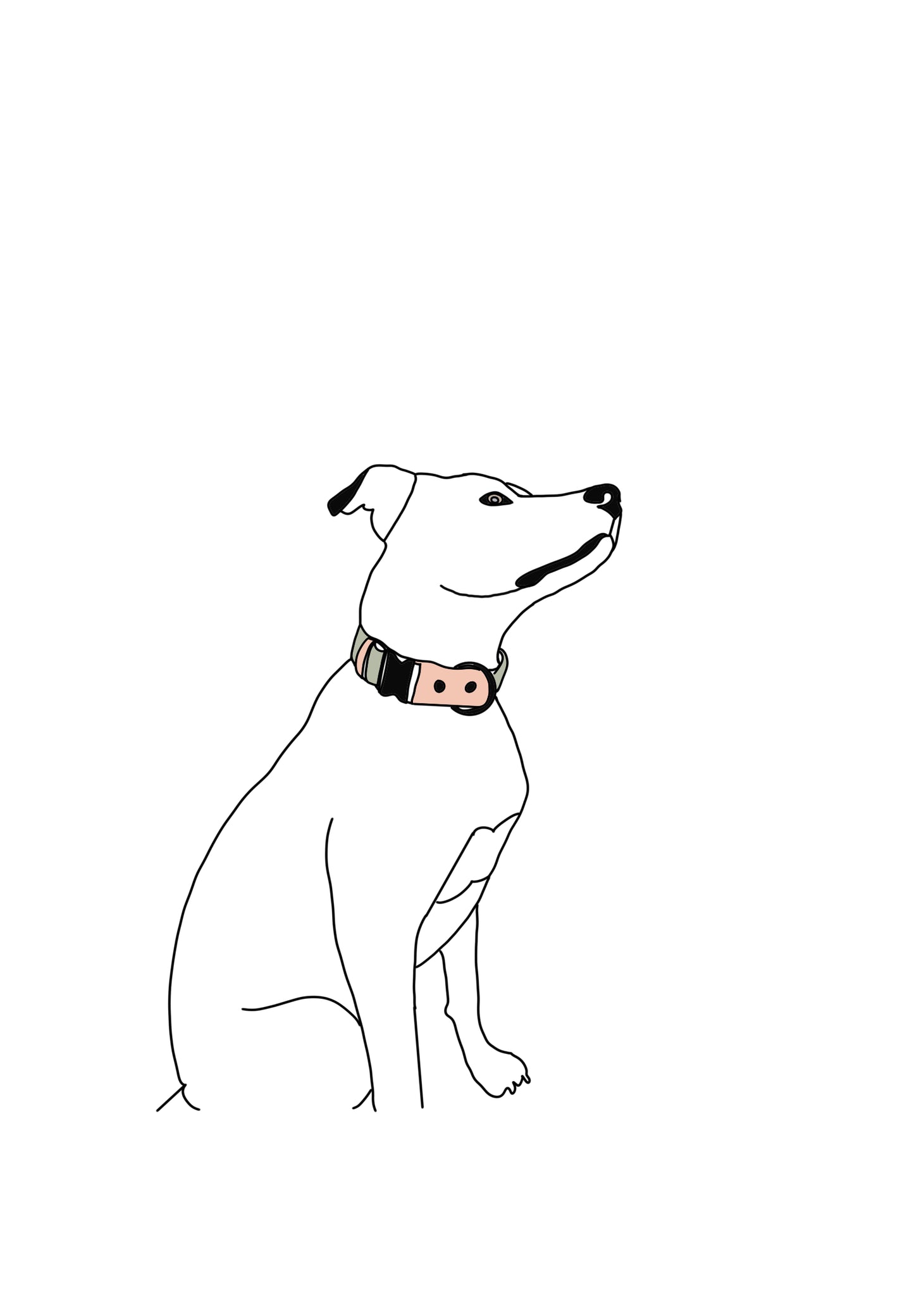 Minimalist Pet Drawing