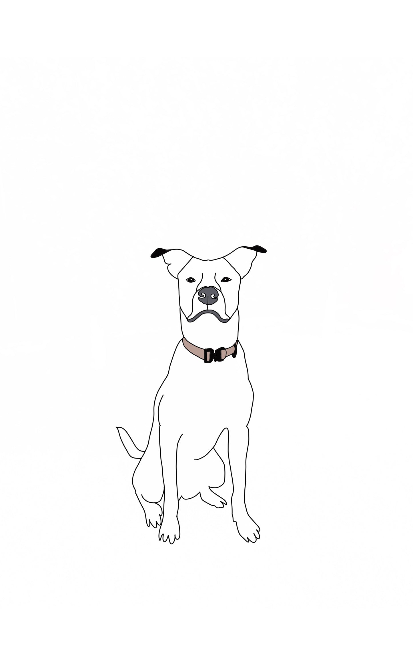 Minimalist Pet Drawing