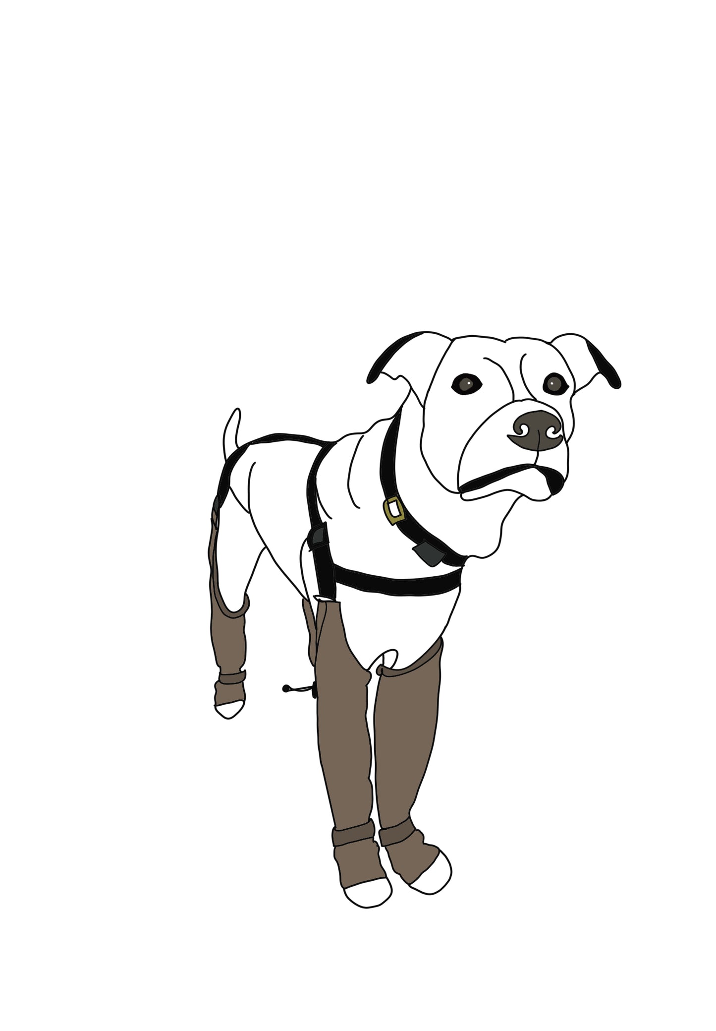 “Ugly” Pet Drawing