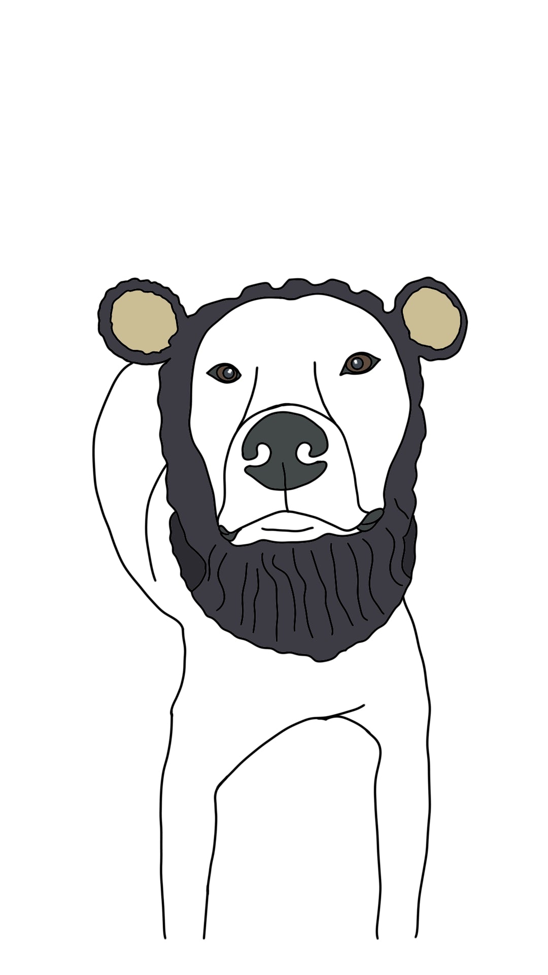 Colour Pet Drawing