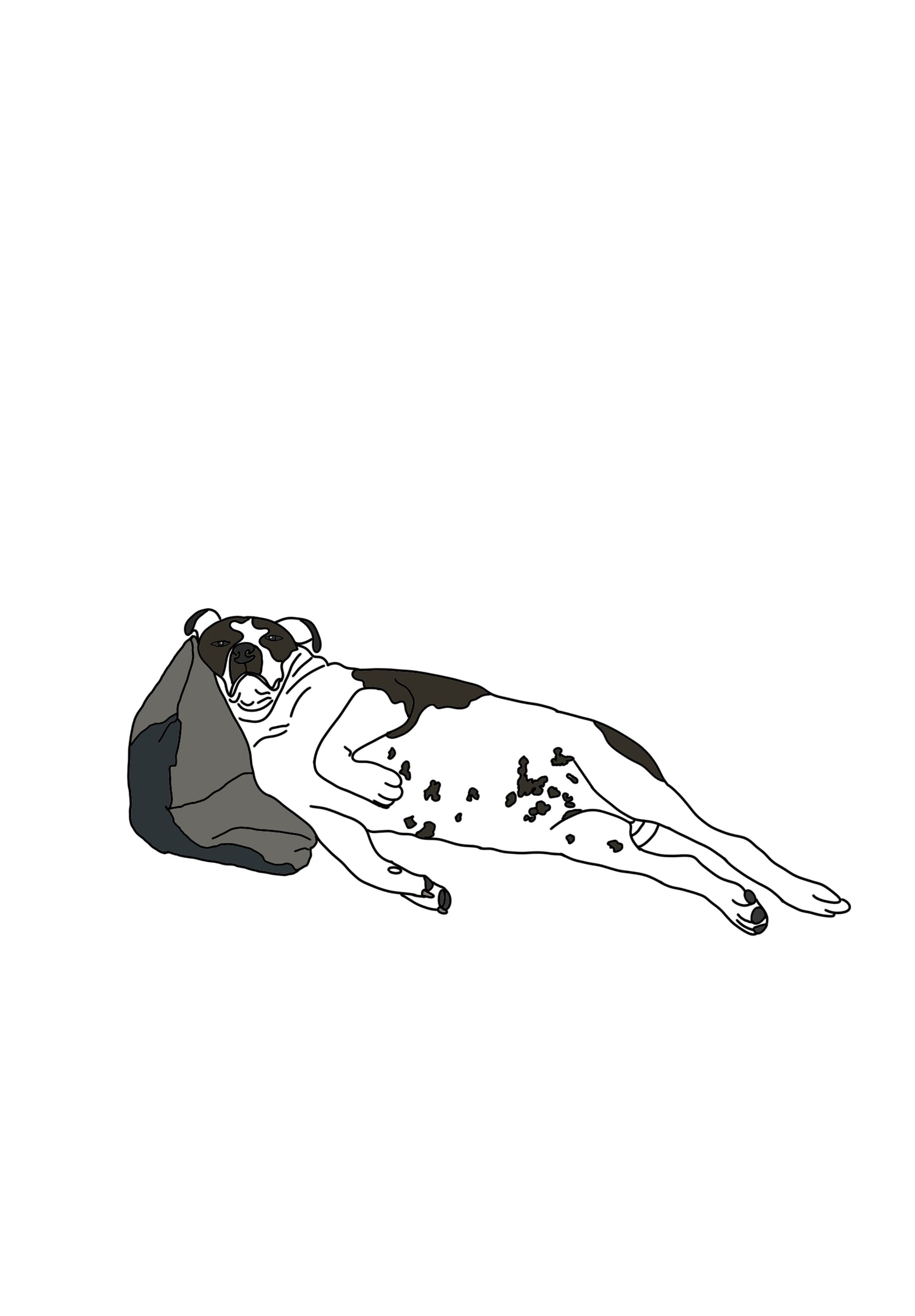 Colour Pet Drawing