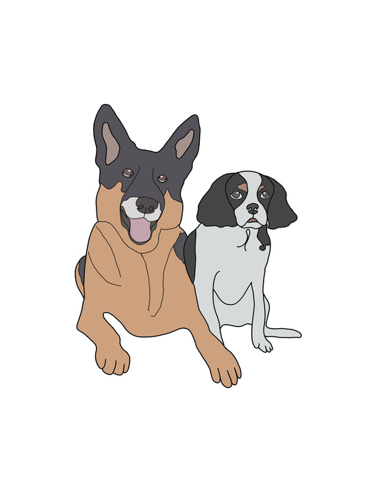 Add A Pet