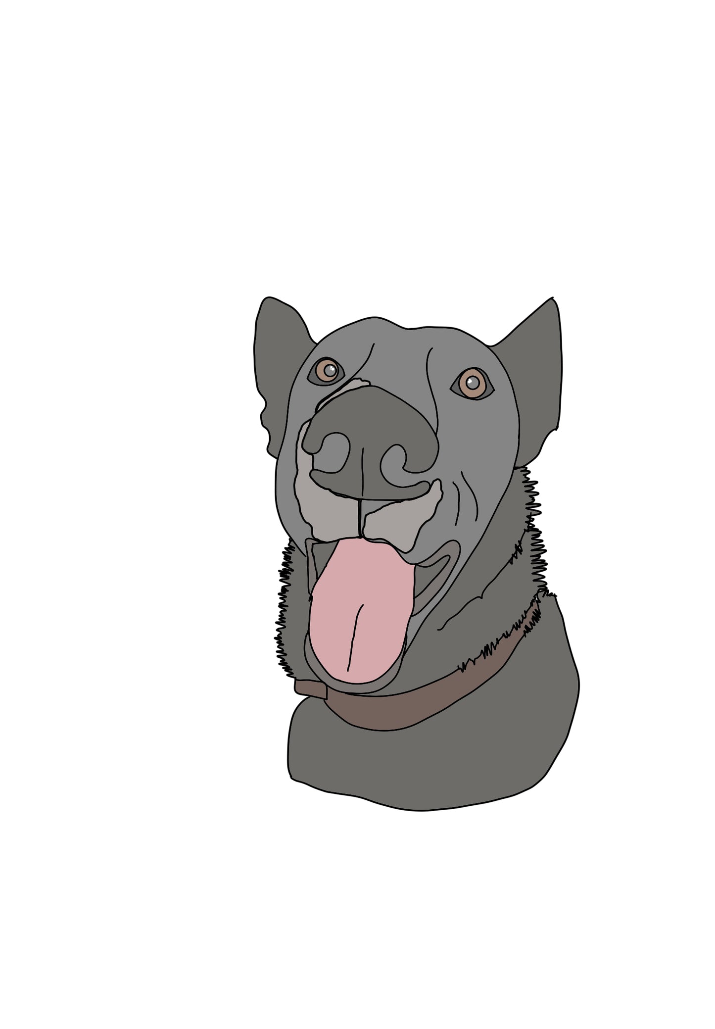 Colour Pet Drawing