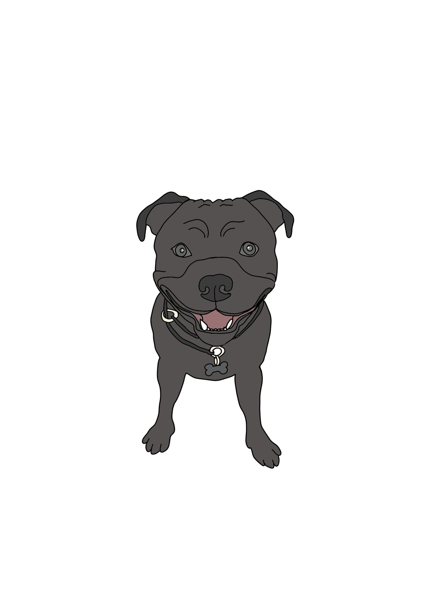 Colour Pet Drawing