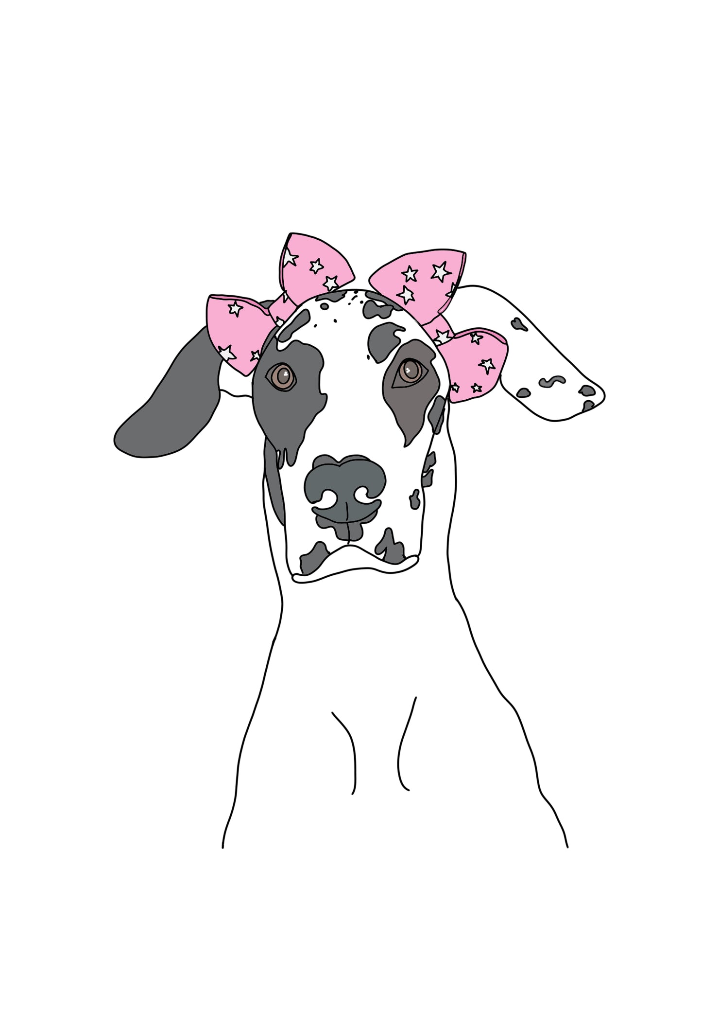 Colour Pet Drawing
